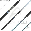 Canne DAIWA Grandwave offshore