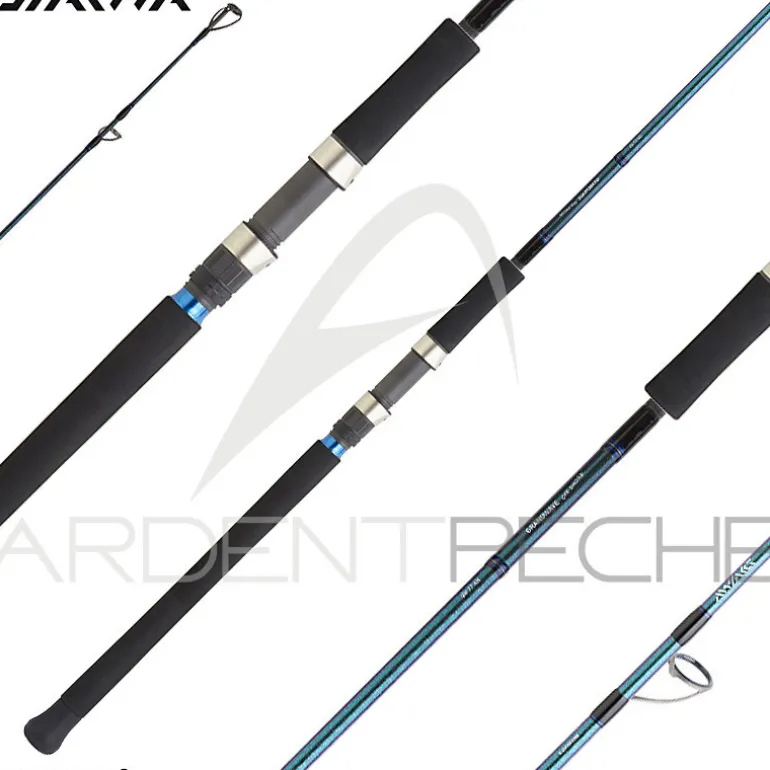 Canne DAIWA Grandwave offshore
