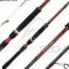 Canne DAIWA Powermesh tenya