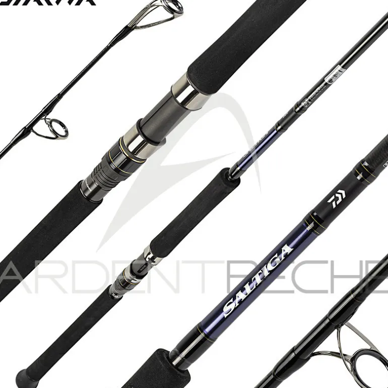 Canne spinning DAIWA Saltiga casting