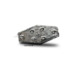 LEMER Plomb hexagonal à crampons x1