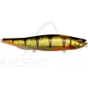 Leurre de surface MEGABASS Megadog X