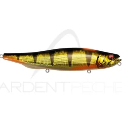 Leurre de surface MEGABASS Megadog X