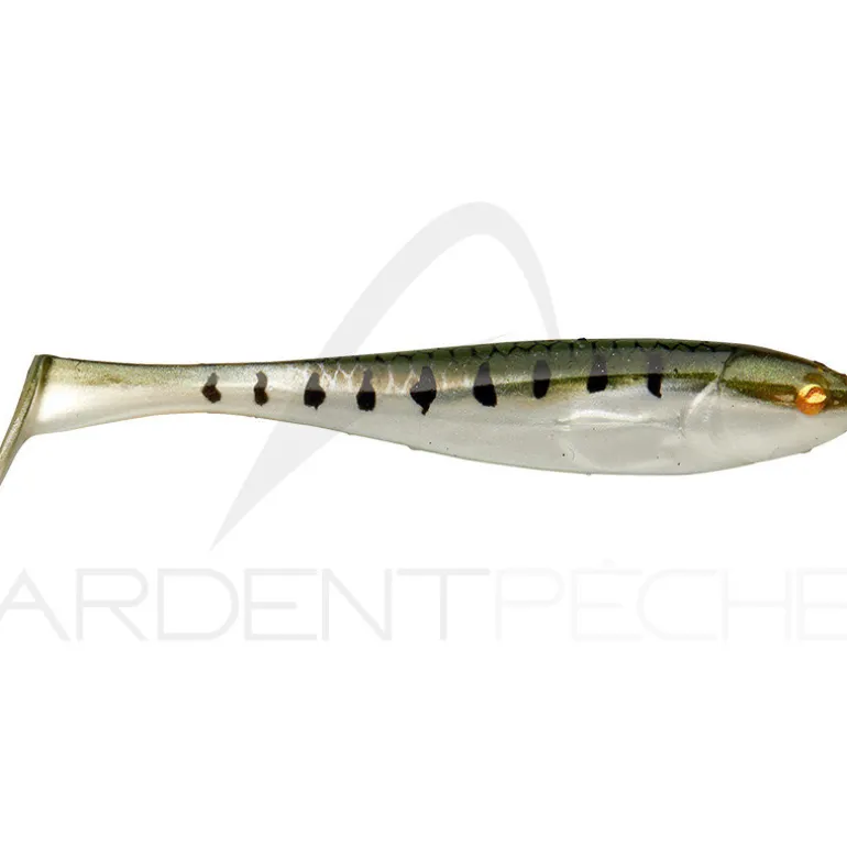 Leurre souple ILLEX Magic slim shad 2