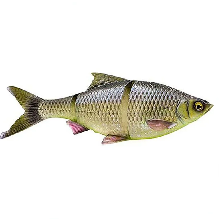 Leurre souple SAVAGE GEAR 3D LT Roach 25cm slow sinking