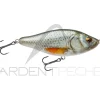 Poisson nageur BIWAA Raffal 150