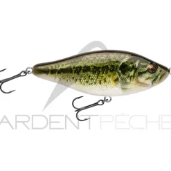 Poisson nageur BIWAA Raffal 100