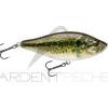 Poisson nageur BIWAA Raffal 130