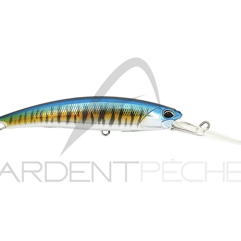 Poisson nageur DUO Realis fangbait 120 DR SW LTD