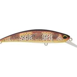 Poisson nageur DUO Spearhead ryuki 70 S