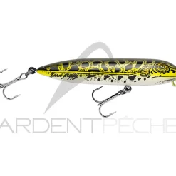 Poisson nageur HEDDON Zara puppy spook