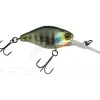 Poisson nageur ILLEX Diving chubby 38