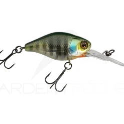 Poisson nageur ILLEX Diving chubby 38