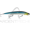 Poisson nageur ILLEX Rerange 110 SP