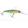 Poisson nageur ILLEX Super DD Squirrel 79 SP
