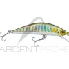 Poisson nageur ILLEX Tricoroll 55 HW
