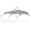 Poisson nageur JACKSON Artist 95 HW