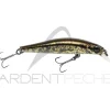 Poisson nageur JACKSON Artist FR55