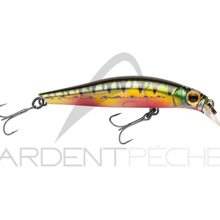 Poisson nageur JACKSON Artist 65 HW