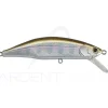 Poisson nageur JACKSON Meteora 52