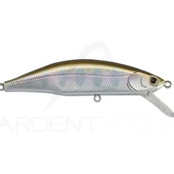 Poisson nageur JACKSON Meteora 52