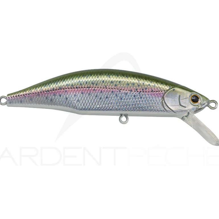 Poisson nageur JACKSON Meteora 63