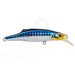 Poisson nageur JACKSON Pin tail 20