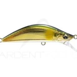 Poisson nageur MAJOR CRAFT Eden 60 H