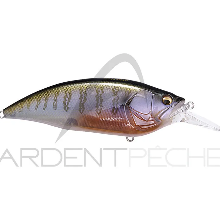 Poisson nageur MEGABASS Big M 4.0