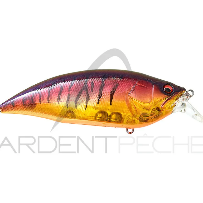 Poisson nageur MEGABASS Big M 2.0
