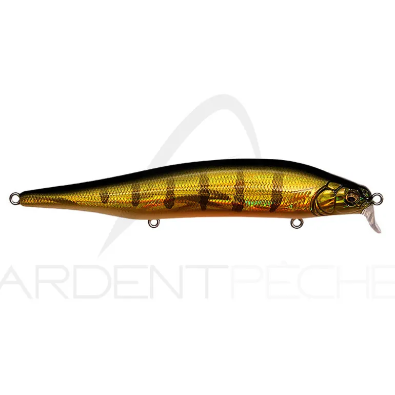 Poisson nageur MEGABASS ITO Shiner SSR