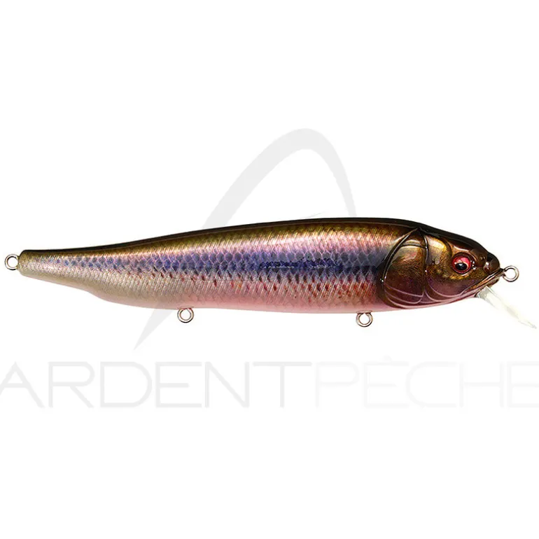 Poisson nageur MEGABASS Lates feedingwoofer