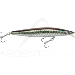 Poisson nageur MEGABASS Marine gang cookai 120 F