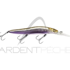 Poisson nageur MEGABASS Vision 110 R+2
