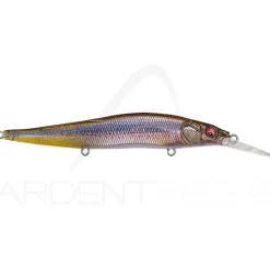 Poisson nageur MEGABASS Vision 110 +1