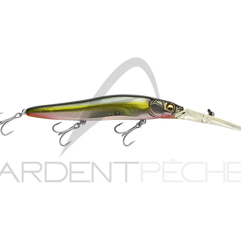 Poisson nageur MEGABASS Vision 110 R+3