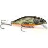 Poisson nageur NAYS RNN 50
