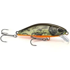 Poisson nageur NAYS RNN 50