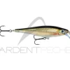 Poisson nageur RAPALA BX Minnow 10