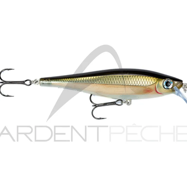 Poisson nageur RAPALA BX Minnow 10