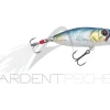 Poisson nageur SAKURA Pop n dog 40 F