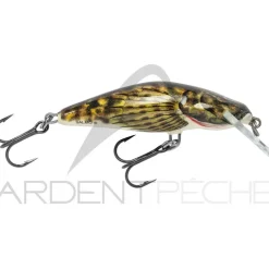Poisson nageur SALMO Bullhead 4 F