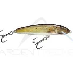 Poisson nageur SALMO Minnow 6 F
