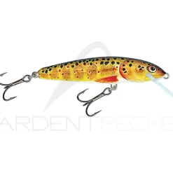 Poisson nageur SALMO Minnow 6 S