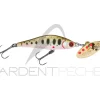 Poisson nageur SMITH AR HD Minnow 45 HS