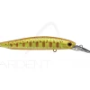 Poisson nageur SMITH Cherry blood MD 90