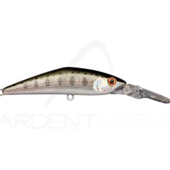 Poisson nageur SMITH D Direct 55
