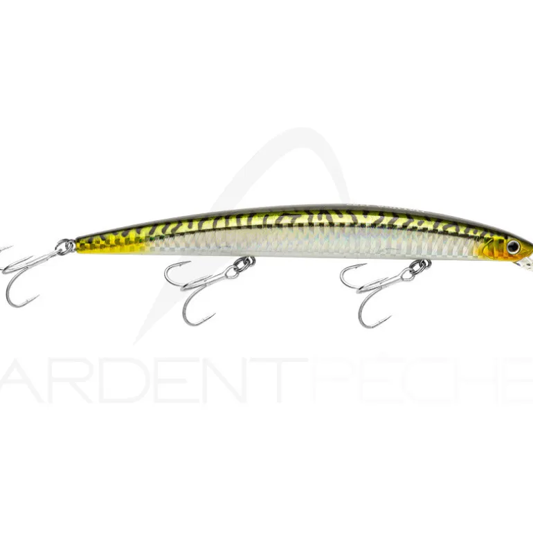 Poisson nageur SMITH Haluca 165 S