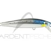 Poisson nageur SMITH Lourdish