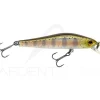 Poisson nageur ZIP BAITS Rigge 56 F